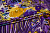Атлас фиолетовый желтый цветы полоски W-132013