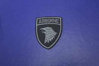 Термонаклейка черно-серая с надписью Airborne W-133642