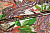 Штапель цветы листья пейсли W-127973