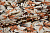 Шифон оранжевый коричневый цветы листья W-132428