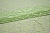 Гипюр зеленый цветы W-128801