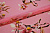 Шифон розовый цветы W-125583