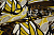 Шифон желтый коричневый абстракция леопард W-132799