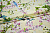 Штапель молочный цветы птицы W-128348