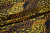 Сетка-стрейч желтая коричневая круги W-131912