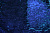 Сетка с синими пайетками W-127491