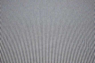 Рубашечная сине-белая ткань полоска W-130751